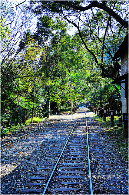 林田山林業文化園區:【花蓮】鳳林鎮。林田山林業文化園區