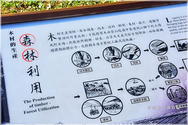 林田山林業文化園區:【花蓮】鳳林鎮。林田山林業文化園區