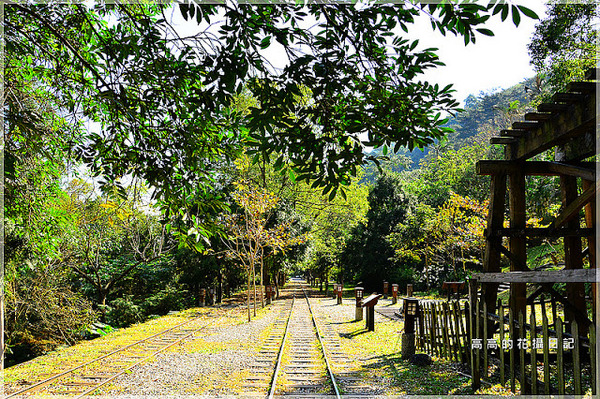 林田山林業文化園區:【花蓮】鳳林鎮。林田山林業文化園區