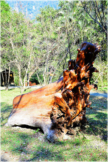 林田山林業文化園區:【花蓮】鳳林鎮。林田山林業文化園區