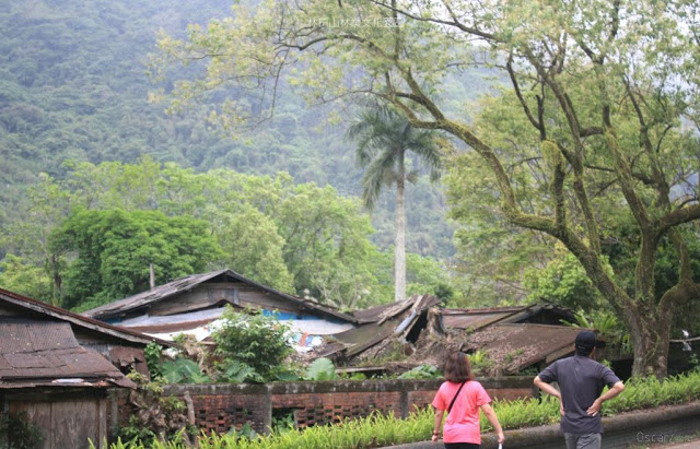 林田山林業文化園區-20