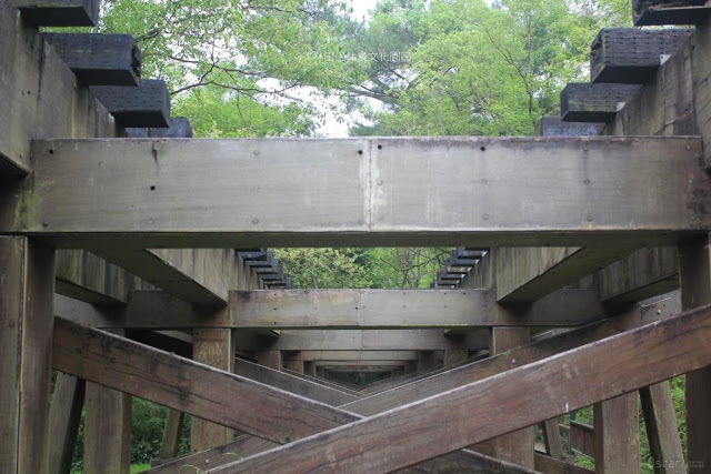 林田山林業文化園區-13