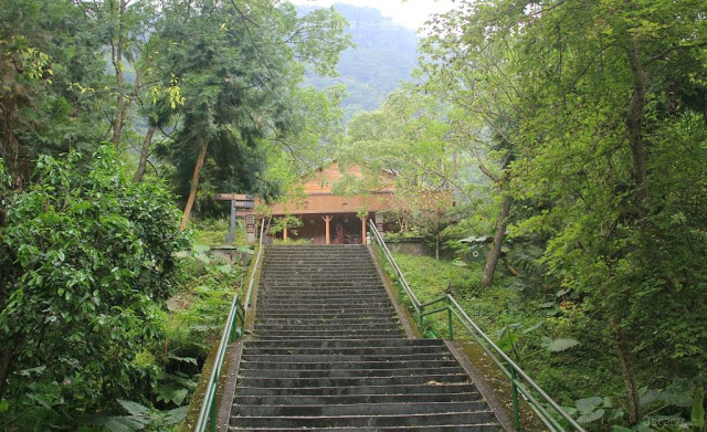 林田山林業文化園區-15