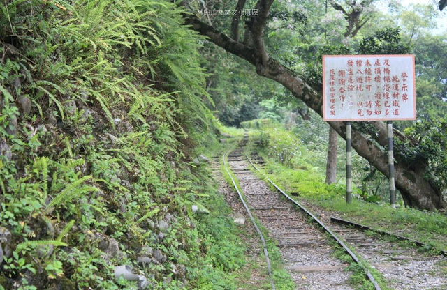 林田山林業文化園區-10