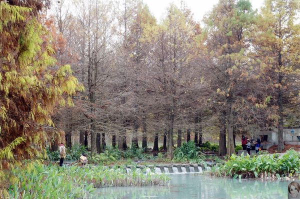 雲山水生態農莊：[花蓮爆點一日遊]花蓮 雲山水~媽呀!美呆了，這不是夢境的美景