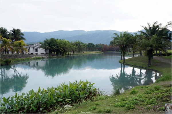 雲山水生態農莊：[花蓮爆點一日遊]花蓮 雲山水~媽呀!美呆了，這不是夢境的美景