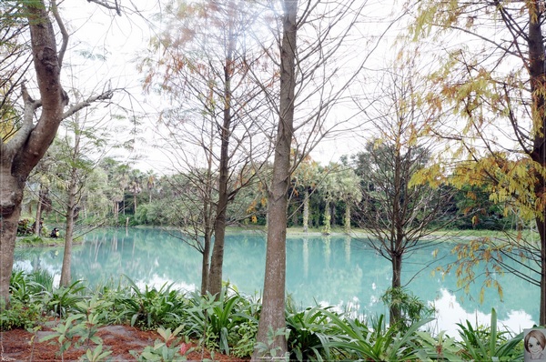 雲山水生態農莊：[花蓮爆點一日遊]花蓮 雲山水~媽呀!美呆了，這不是夢境的美景