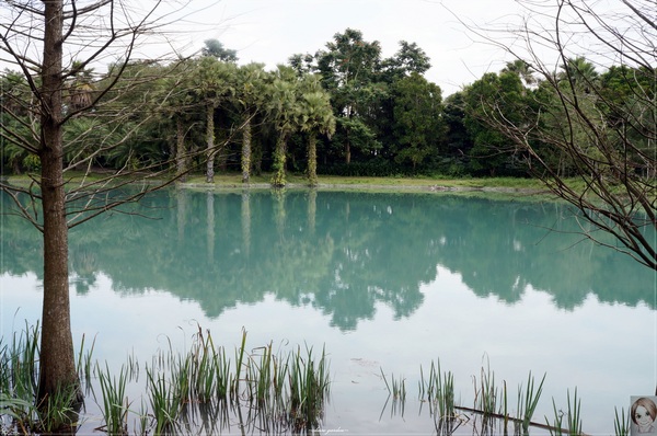雲山水生態農莊：[花蓮爆點一日遊]花蓮 雲山水~媽呀!美呆了，這不是夢境的美景