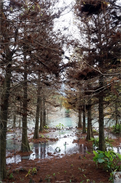 雲山水生態農莊：[花蓮爆點一日遊]花蓮 雲山水~媽呀!美呆了，這不是夢境的美景