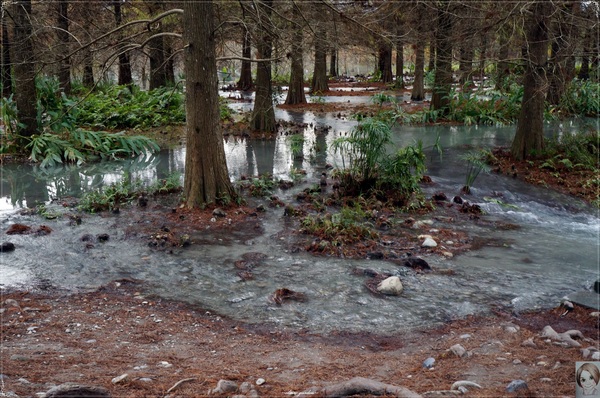 雲山水生態農莊：[花蓮爆點一日遊]花蓮 雲山水~媽呀!美呆了，這不是夢境的美景