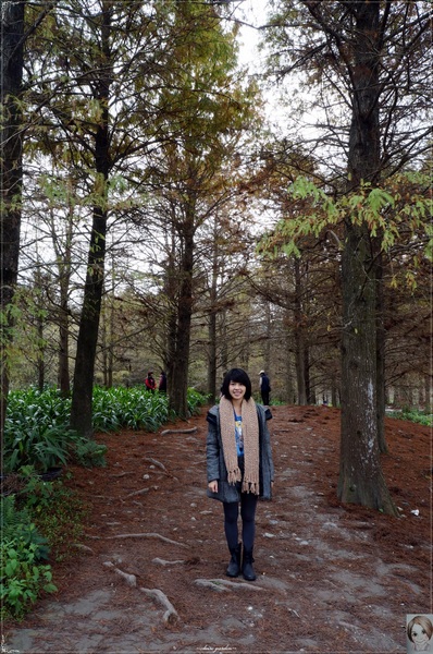 雲山水生態農莊：[花蓮爆點一日遊]花蓮 雲山水~媽呀!美呆了，這不是夢境的美景