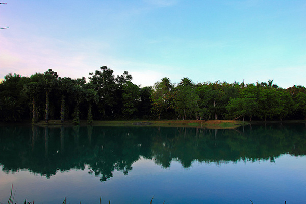 雲山水生態農莊：[遊記]【花蓮壽豐鄉】雲山水生態農莊。 絕美夢幻湖反霞光美景