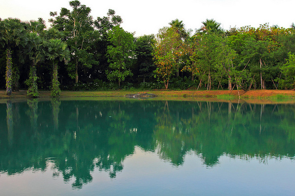 雲山水生態農莊：[遊記]【花蓮壽豐鄉】雲山水生態農莊。 絕美夢幻湖反霞光美景