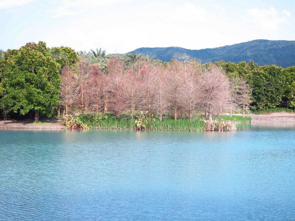 【花蓮景點】雲山水生態農莊-熱帶島嶼般的美景