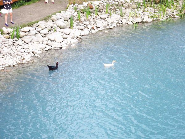 【花蓮景點】雲山水生態農莊-熱帶島嶼般的美景