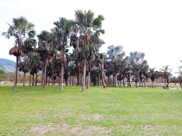 【花蓮景點】雲山水生態農莊-熱帶島嶼般的美景