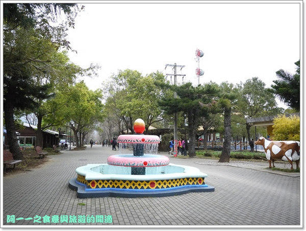 初鹿牧場：台東 初鹿牧場 賞櫻花楓葉再來支霜淇淋～阿一一寒冬台東之旅