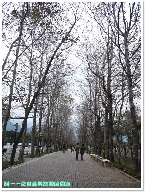 初鹿牧場：台東 初鹿牧場 賞櫻花楓葉再來支霜淇淋～阿一一寒冬台東之旅