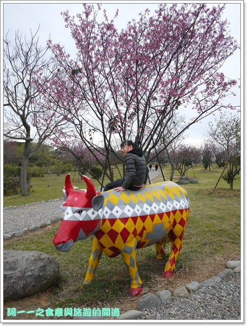 初鹿牧場：台東 初鹿牧場 賞櫻花楓葉再來支霜淇淋～阿一一寒冬台東之旅