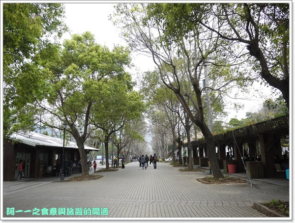 初鹿牧場：台東 初鹿牧場 賞櫻花楓葉再來支霜淇淋～阿一一寒冬台東之旅