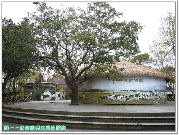 初鹿牧場：台東 初鹿牧場 賞櫻花楓葉再來支霜淇淋～阿一一寒冬台東之旅