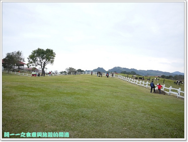 初鹿牧場：台東 初鹿牧場 賞櫻花楓葉再來支霜淇淋～阿一一寒冬台東之旅