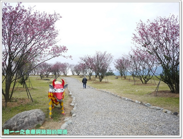 初鹿牧場：台東 初鹿牧場 賞櫻花楓葉再來支霜淇淋～阿一一寒冬台東之旅
