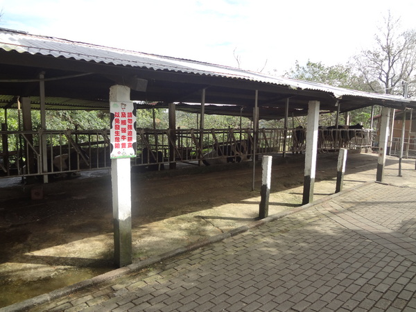 cm20131024___efa7a401db86a42503f68f5e88c