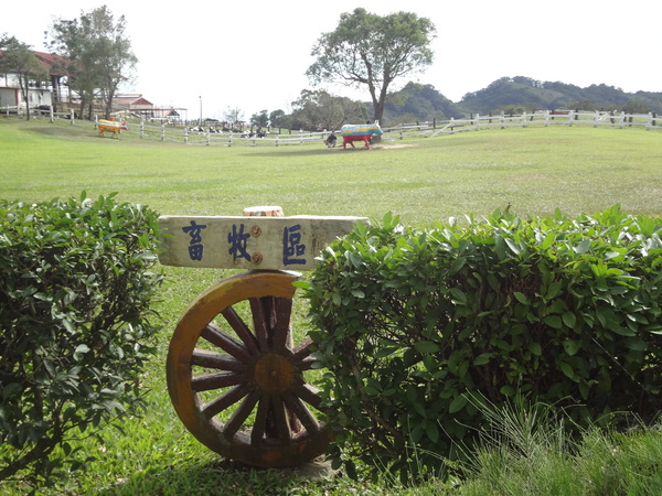 初鹿牧場：1020104[官本金文愛台灣]美麗的初鹿牧場有藍天白雲綠地黑白乳牛讓人心曠神怡(環境篇)
