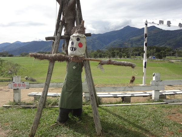 初鹿牧場：1020104[官本金文愛台灣]美麗的初鹿牧場有藍天白雲綠地黑白乳牛讓人心曠神怡(環境篇)