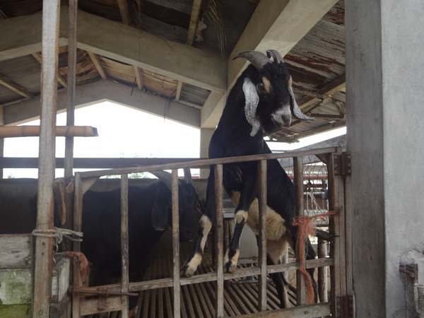 cm20131024___15ddbe43921babfe8bb4ae7ade7