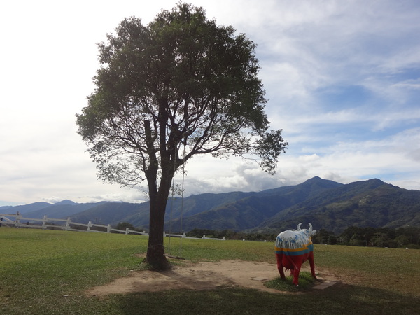 初鹿牧場：1020104[官本金文愛台灣]美麗的初鹿牧場有藍天白雲綠地黑白乳牛讓人心曠神怡(環境篇)