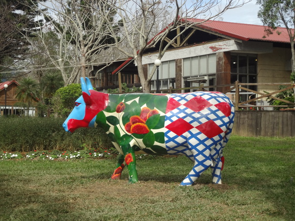 初鹿牧場：1020104[官本金文愛台灣]美麗的初鹿牧場有藍天白雲綠地黑白乳牛讓人心曠神怡(環境篇)