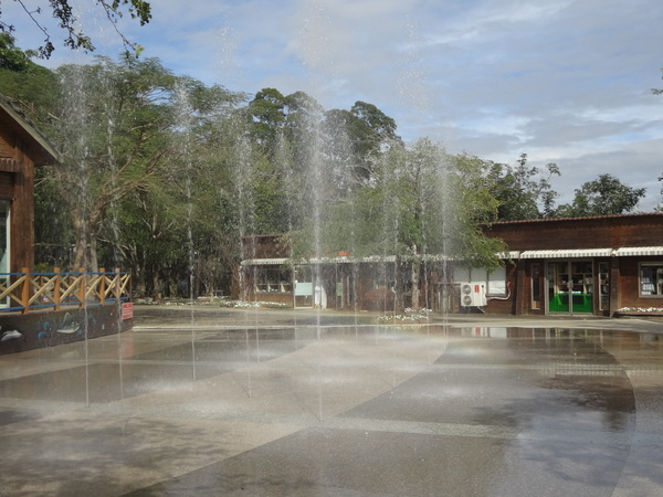 初鹿牧場：1020104[官本金文愛台灣]美麗的初鹿牧場有藍天白雲綠地黑白乳牛讓人心曠神怡(環境篇)