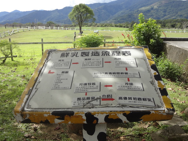 初鹿牧場：1020104[官本金文愛台灣]美麗的初鹿牧場有藍天白雲綠地黑白乳牛讓人心曠神怡(環境篇)