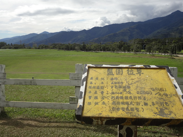 初鹿牧場：1020104[官本金文愛台灣]美麗的初鹿牧場有藍天白雲綠地黑白乳牛讓人心曠神怡(環境篇)