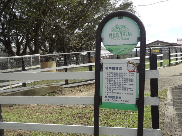 初鹿牧場：1020104[官本金文愛台灣]美麗的初鹿牧場有藍天白雲綠地黑白乳牛讓人心曠神怡(環境篇)