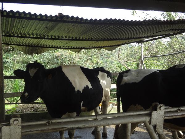 cm20131024___960652b3b64513b4d82ab940d1d