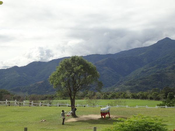 初鹿牧場：1020104[官本金文愛台灣]美麗的初鹿牧場有藍天白雲綠地黑白乳牛讓人心曠神怡(環境篇)