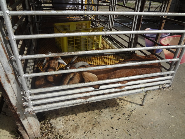 cm20131024___110a7fbf13b76c276e42a240e0f