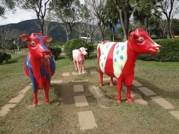 初鹿牧場：1020104[官本金文愛台灣]美麗的初鹿牧場有藍天白雲綠地黑白乳牛讓人心曠神怡(環境篇)