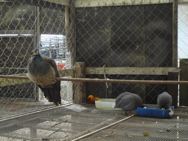 cm20131024___54ce99a385efed34d59167dbf84