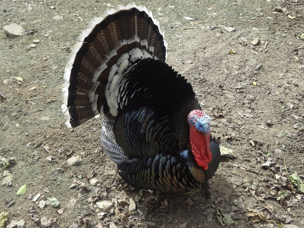 cm20131024___c1bf5d37fde143b975eec96a983