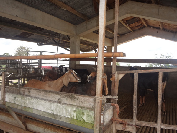 cm20131024___d6db41e8d2c2fa48791fa0461f9