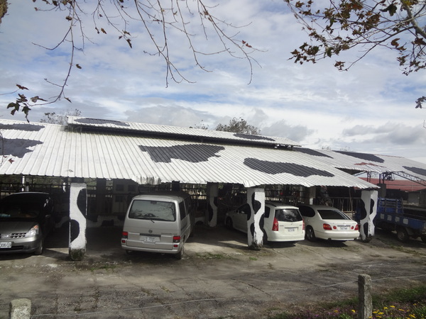 初鹿牧場：1020104[官本金文愛台灣]美麗的初鹿牧場有藍天白雲綠地黑白乳牛讓人心曠神怡(環境篇)