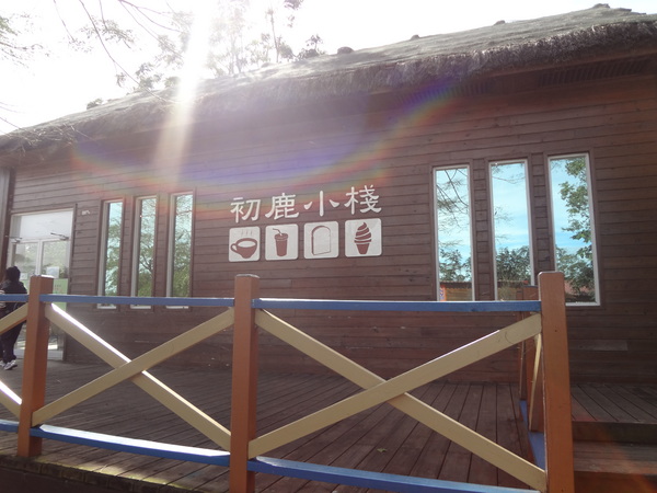 初鹿牧場：1020104[官本金文愛台灣]美麗的初鹿牧場有藍天白雲綠地黑白乳牛讓人心曠神怡(環境篇)