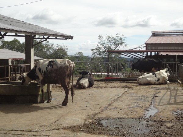 cm20131024___82ab0ef46a74c715ac74d8e9155