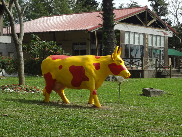 初鹿牧場：1020104[官本金文愛台灣]美麗的初鹿牧場有藍天白雲綠地黑白乳牛讓人心曠神怡(環境篇)