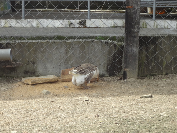 cm20131024___df408ee58609fc1740654d52692