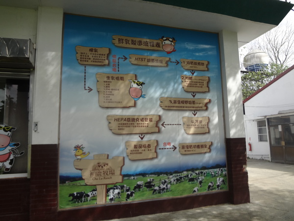 初鹿牧場：1020104[官本金文愛台灣]美麗的初鹿牧場有藍天白雲綠地黑白乳牛讓人心曠神怡(環境篇)